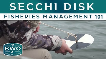 Secchi Disk. What it is and why we use it - Fisheries Management 101