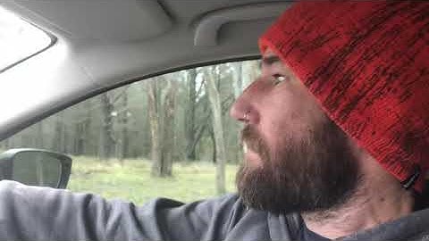 Dead Snake Caught in Bird Netting