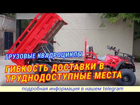 Особенности грузовых квадроциклов  мощность и надежность #грузовыеквадроциклы