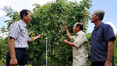 Châu Thành - vươn mình từ tái cơ cấu nông nghiệp