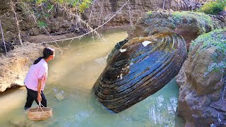 Cut a huge freshwater pearl clam to extract the world's most expensive pearls