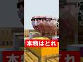 すべてが早い老夫婦