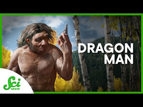 Meet Dragon Man, Humans’ Possible New Relative | SciShow News thumbnail