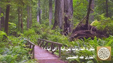 طه الفشني - سورة الذاريات من آية ١ إلى آية ٥٨ - وَالذَّارِيَاتِ ذَرْوًا