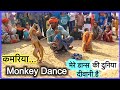        bandar bandariya ka khel funniest monkey drama