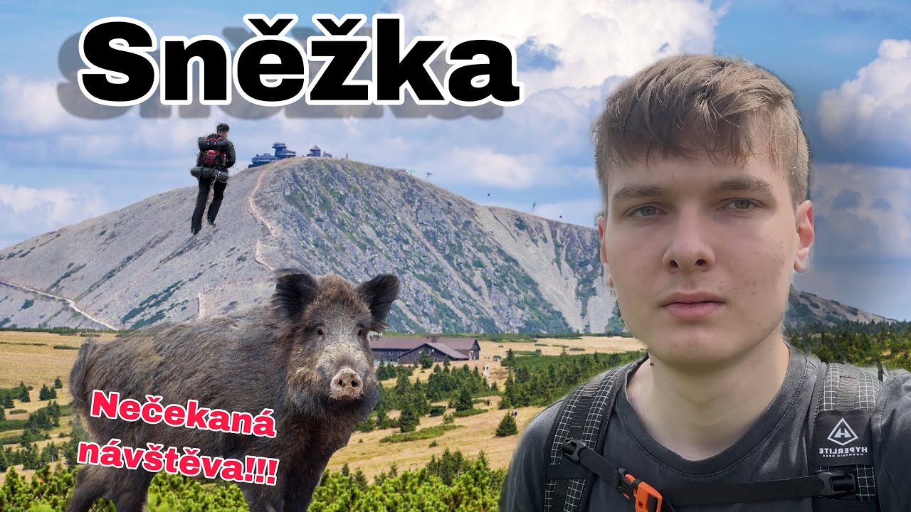 DIVOKÁ PRASATA u stanu! | Pěšky z Hradce na Sněžku
