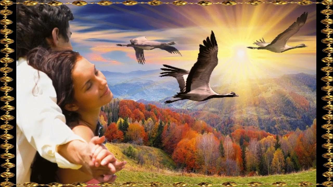 Песня где то летал