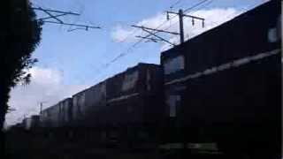 貨物列車1057レ　EF210-116　13.11.17