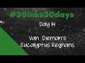 #30inks30days September 2023 - Day 14: Van Dieman's Eucalyptus Regnans