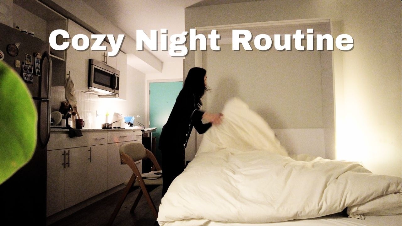 Living Alone Vlog | Cozy Nighttime Routine in a 240 Sq Ft Studio 🌙 Wafu Pasta, Skincare Routine