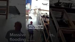 Massive fish tank shatters in Chicago