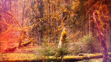 Slidecamp - 4th of July