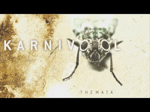 6. Lifelike - Karnivool [HQ]