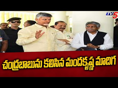 చంద్రబాబును కలిసిన మందకృష్ణ మాదిగ | Manda Krishna Madiga Meets Chandrababu | TDP Leaders | TV5 News - TV5NEWS