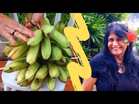Cenas de sexo chupando buceta Como fazer a banana madurar mais rápido