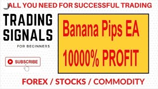 Banana Pips - Volatility scalper (BONUS Forex Scalping Strategies SD Trading System) screenshot 1