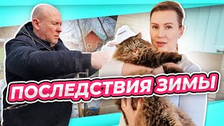 ВЛОГ | В ШОКЕ ОТ ЗИМЫ открыла сад | ОБРАБОТКА оптом, ПРИВИВКА яблони, ПОСАДКА  ито пиона