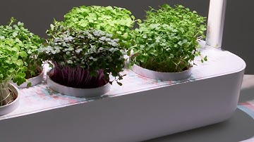 Hi! Horta Inteligente