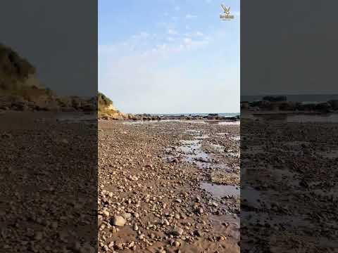 Plazhi Gjeneralit Kavajë