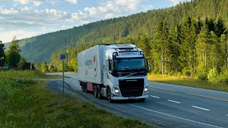 картинка: Новый матрас Volvo. Паром Finnlines.