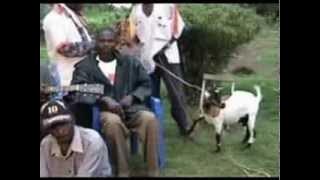 Wanyama ome-bindahabona husyalo-samia uganda music video