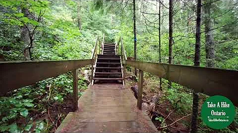 Beaver Pond Trail, Algonquin Provincial Park