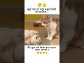 Mujhe pta hai aap bahut busy ho isiliye 😂 #comedy #shorts #viral #funny #shayari #cute #jokes