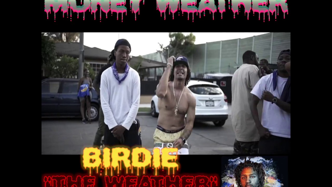 BIRDIE - THE WEATHER album commercial