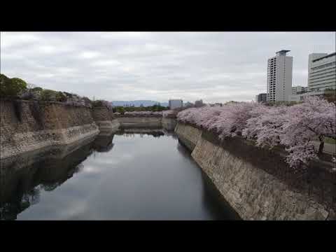 空から大阪城公園を見てみよう　～桜編～　The Osaka Castle Park from the sky