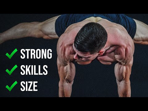 Calisthenics Workout: 10 Exercises for a Stronger, More Muscular You –  Transparent Labs