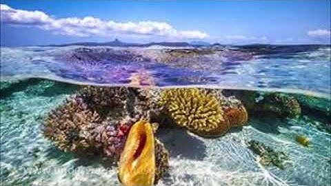 سورة الكهف قراءة مغربية نادرة المقرئ عبد الرحمان بن موسى رحمه الله