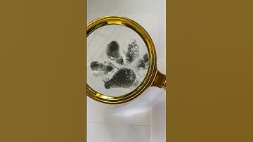 Video of sample from Factory 05/25/23.