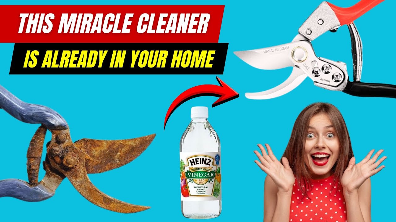 Простые способы удаления ржавчины с садовых инструментов?