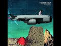 Temple Sour - Ledgarf ( bienvenidos )