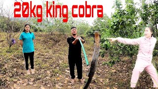 The brothers who went to the forest to find the king cobra were lucky to run away l kingconbrahunter