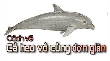 Cách vẽ con cá heo vô cùng đơn giản