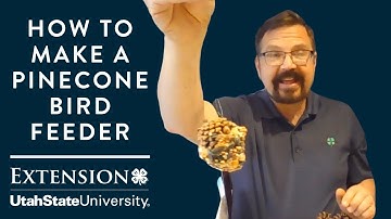 How to Make a Pinecone Bird Feeder