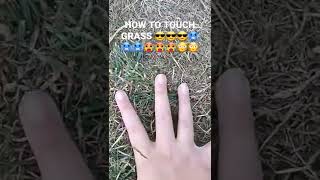 How To Touch Grass (REAL TUTORIAL)