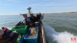 A rare Norfolk Bream, bass and smooth hounds! Drift netting on a calm sunny day! Boat Sea fishing
