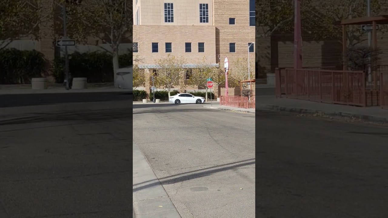 Domestic Incident (according to a bystander) 