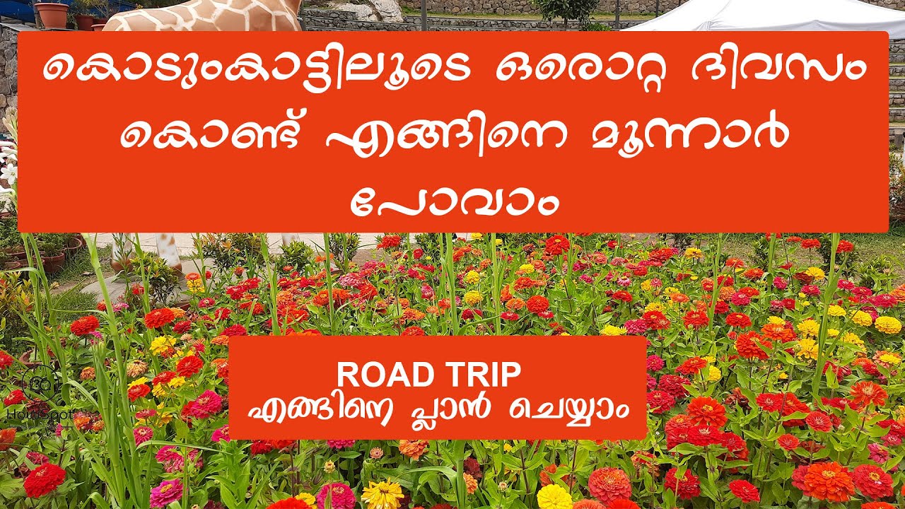 munnar one day trip plan