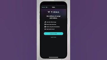 How to DJ with TIDAL in 𝗱𝗷𝗮𝘆 📲💻 #djaySCHOOL19 #djaySCHOOL #TIDAL #djay #algoriddim #djayapp