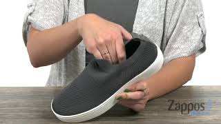 steve madden beale stretch knit sneakers