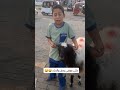 علوه كاض طلي علوه كاض طلي