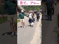 [見て、アレ...]外国人観光客は、初めて白川郷を訪れた際に感銘を受けます！#新幹線#外国人#日本のサムネイル