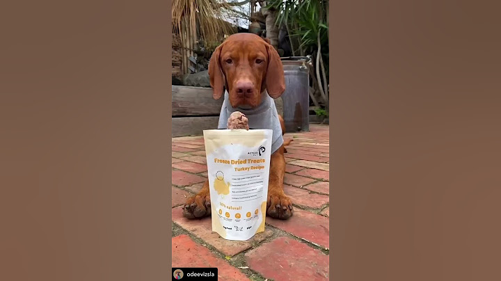 Review of Healthy Active Pet Freeze Dried Dog Food