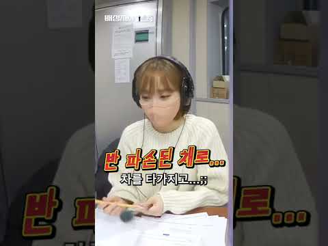 춘파카 vs 쟤파카 (반파카 오너 정모 중...?)