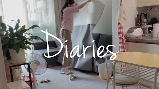 DIARIES | отрывки последних недель, очень много собачек и друзей с собачками