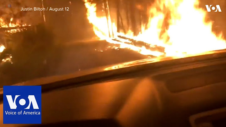 Father and son drive through flames to escape forest fire