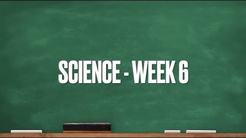 CC Cycle 1 Week 6 Science